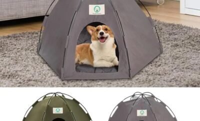 Dog Camping Tent Breathable Cat Dog Litter Tent Kennel Cat Teepee Bed Pet Tent Foldable Cat Cave Play Tents Camping Dog Supplies