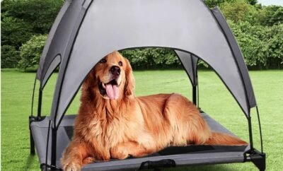 Raised Pet Bed With Canopy Portable Dog Camp Tent Raised Dog Bed With Sun Canopy Camp Tent For Dogs Cats Outdoor Camping