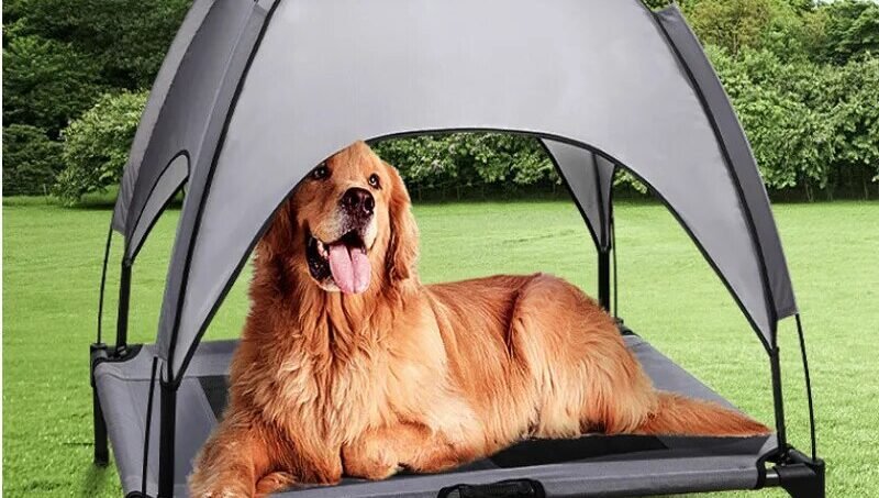 Raised Pet Bed With Canopy Portable Dog Camp Tent Raised Dog Bed With Sun Canopy Camp Tent For Dogs Cats Outdoor Camping